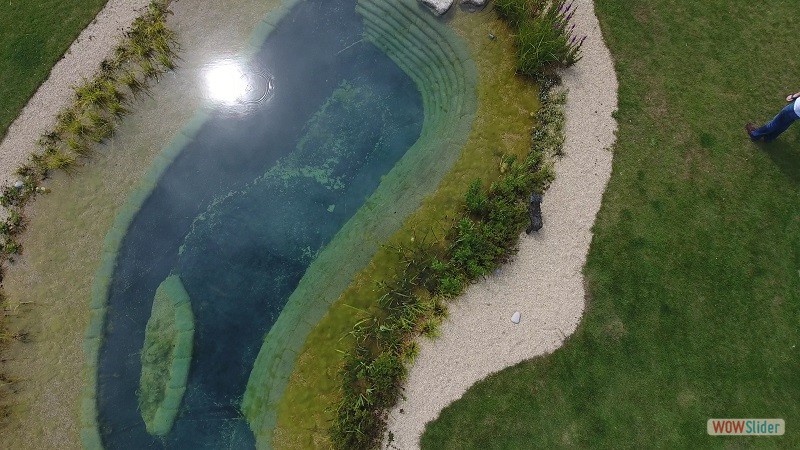Clearview pond